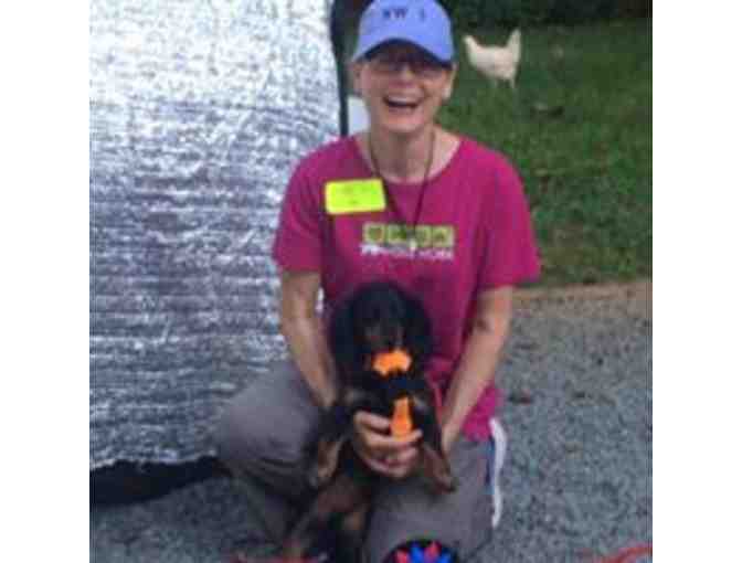 Eastern Shore Dog Basket from Eastern Shore Dog