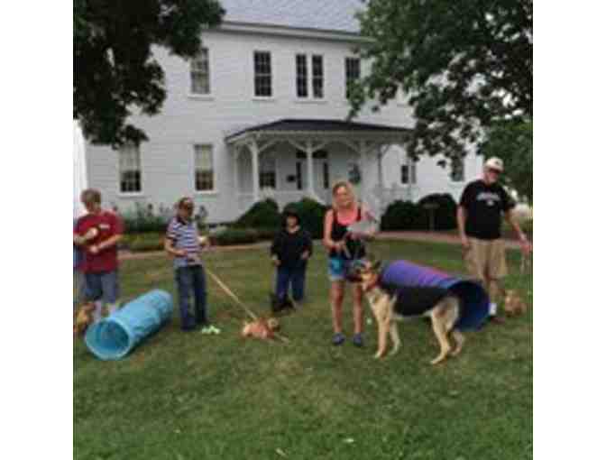 Eastern Shore Dog Basket from Eastern Shore Dog