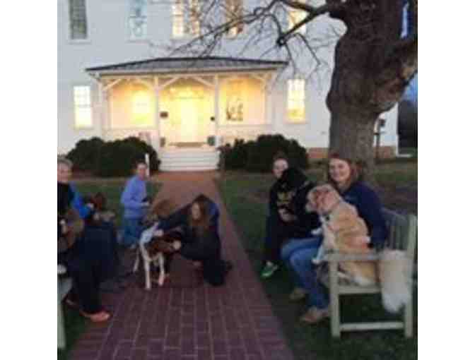 Eastern Shore Dog Basket from Eastern Shore Dog