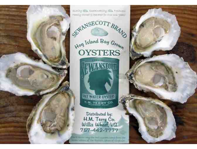 100 Delicious Sewansecott Seaside Oysters - Photo 3