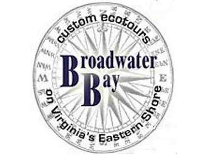 Ecotour for Two with Broadwater Bay Ecotours