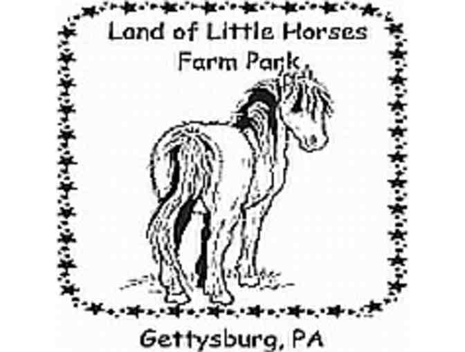 Admission to the Land of Little Horses
