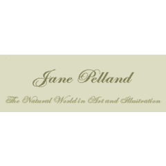 Jane Pelland - The Natural World in Art and Illustration