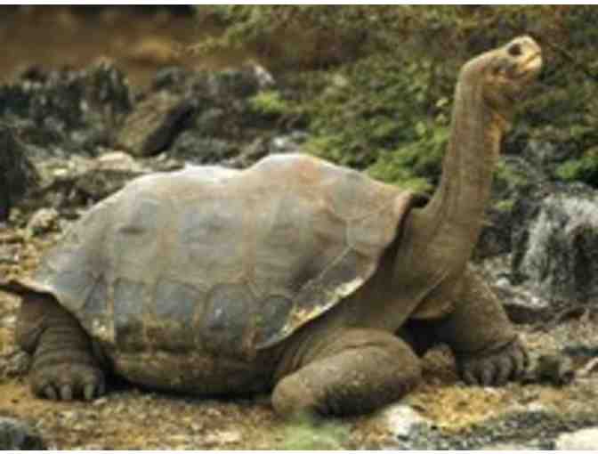 10-day National Geographic Galapagos Expedition for 2 in 2015