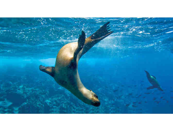 10-day National Geographic Galapagos Expedition for 2 in 2016