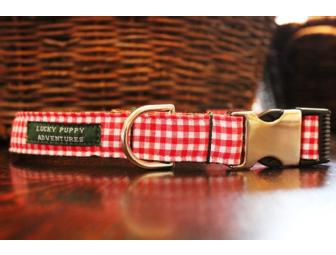 Lucky Puppy Adventures Collar and Leash