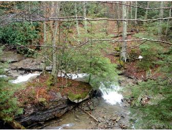 3 Night Getaway in the NC Mountains!