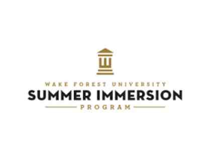 Wake Forest Summer Immersion Program