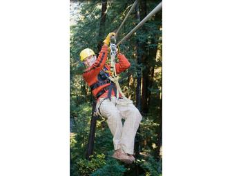 Redwood Canopy Tours - Ziplining
