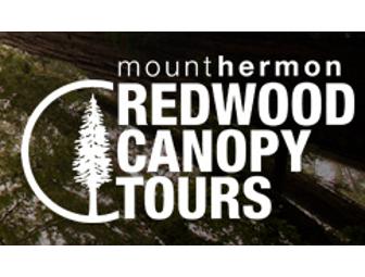 Redwood Canopy Tours - Ziplining
