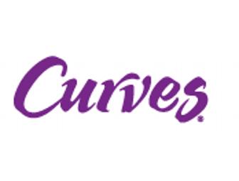 Curves in Half Moon Bay (#2)