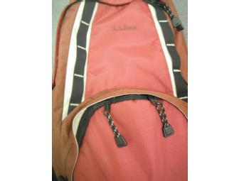 Car or Office Emergency Backpack Kit