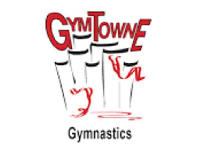 Gymtowne Gymnastics - Photo 1