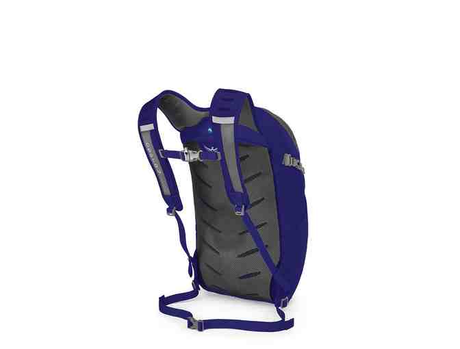 OSPREY Daylite Plus Backpack - Tahoe Blue