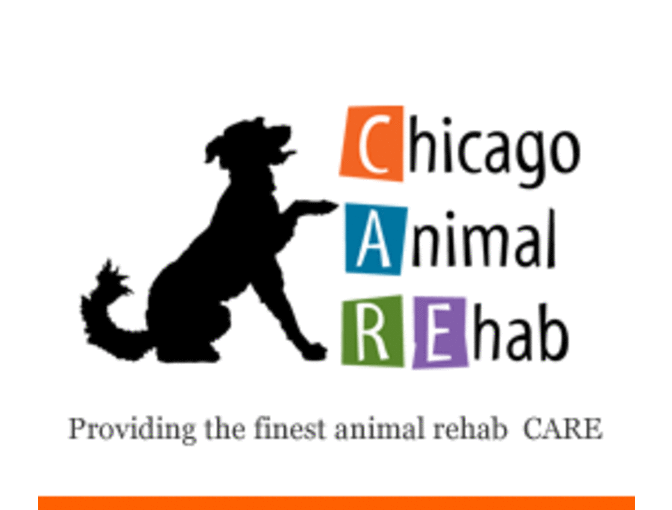 Chicago Animal Rehab Gift Certificate
