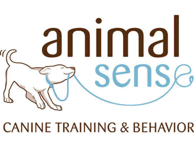 Animal Sense Canine Training & Behavior Gift Certificate