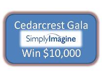 $10,000 Winning Raffle Ticket