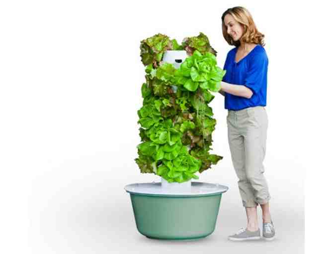 Your Own Private CSA:  TOWER GARDEN GROWING SYSTEM