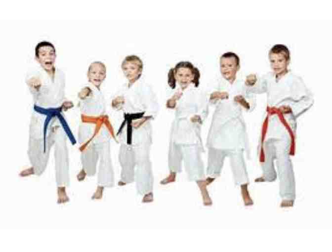 Martial Arts Classes - 4 weeks