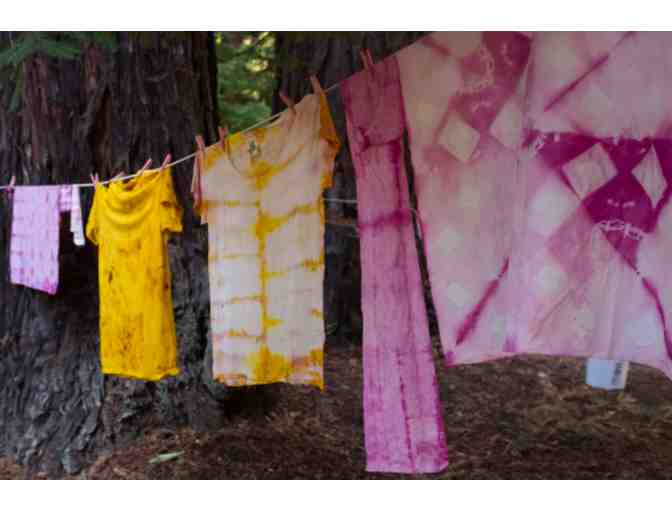 Natural Dye and Shibori Workshop in Topanga - Photo 1