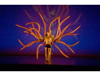 Momix Performing the Boston Premiere of 'Botanica'