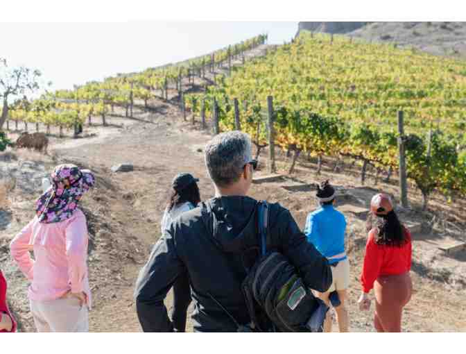 Malibu Wine Hikes Gift Certificate for 2 People