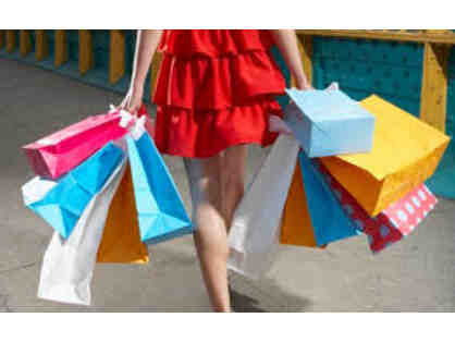 Private Shopping Tour for 10