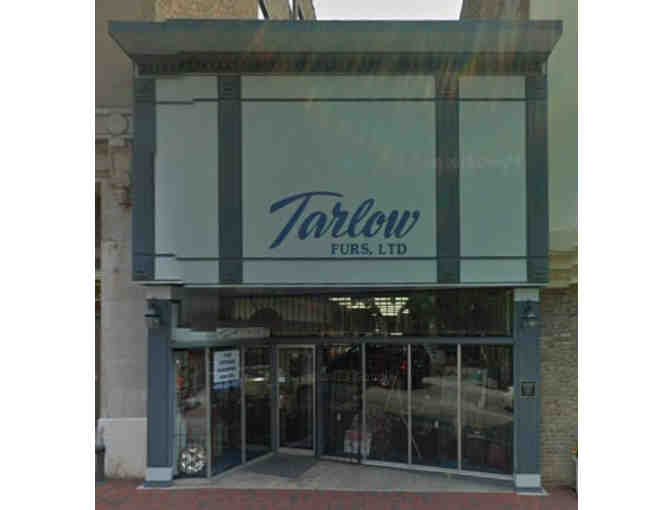 Crystal Fox Fringed Scarf from Tarlow Furs