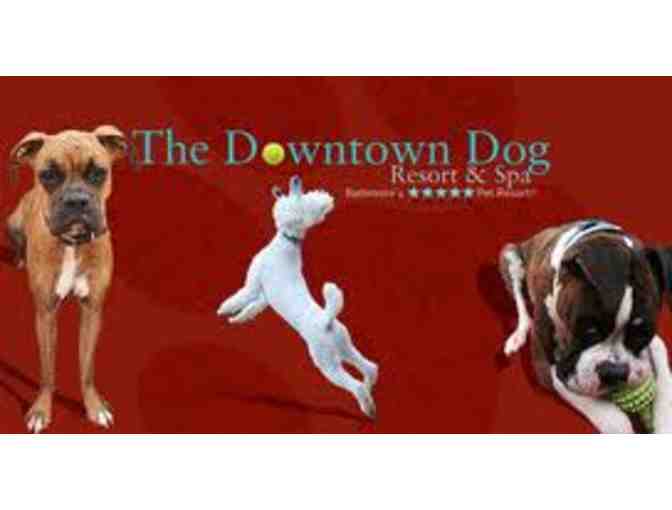 3-Day Luxury Doggie Vacation from Downtown Dog Resort & Spa - Photo 1