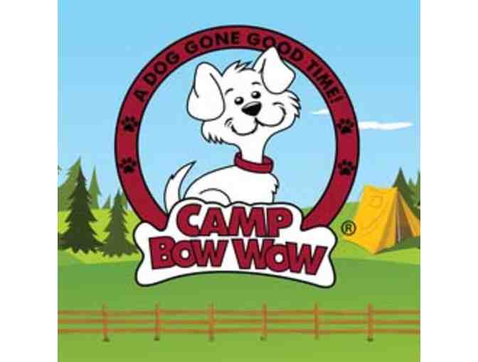 Doggie Bowl & Day Care