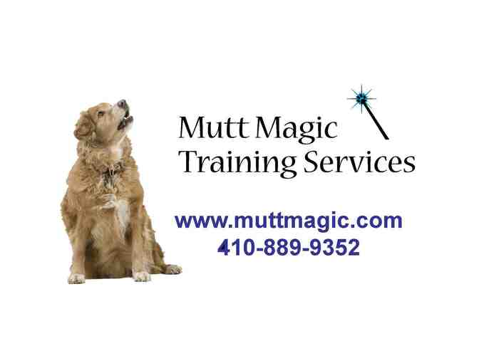 Private Dog Training