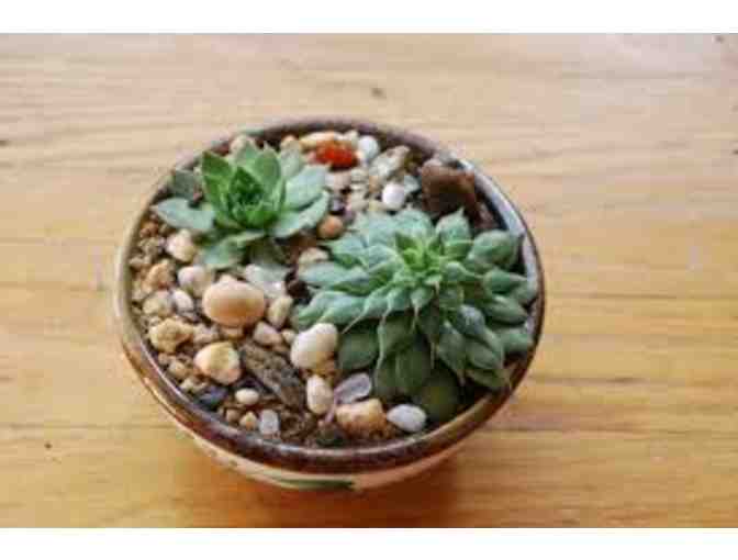 $75 Gift Certificate from B. Willow