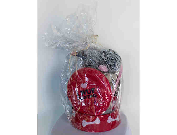 Doggie Gift Pack & Day Care