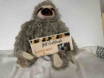 Sloth Experience - only available by auction