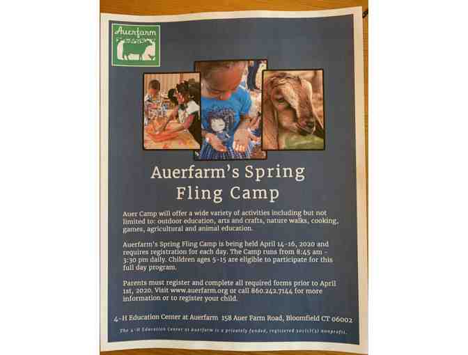 Local and Sustainable-Second Grade Basket