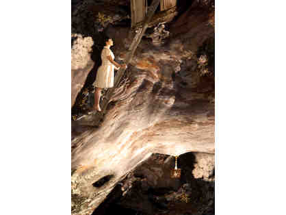 New England School of Photography!