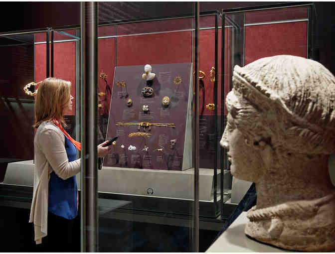 Ambassador Level Membership to the Museum of Fine Arts