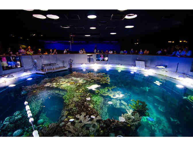 Two Admission Passes to New England Aquarium