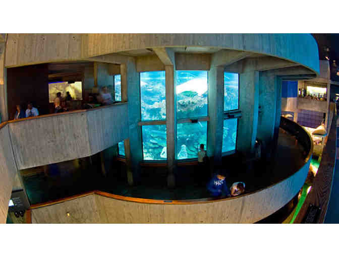 New England Aquarium: 2 tickets