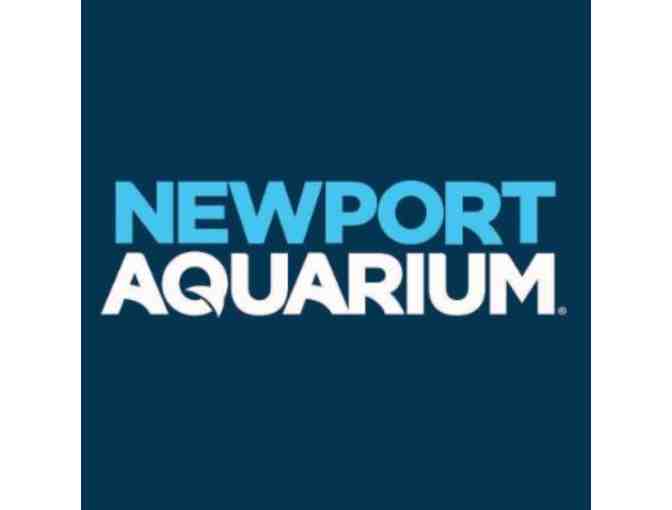 Cincinnati Baseball Weekend