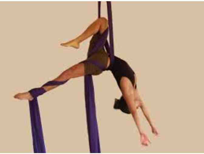 Introduction to Aerial Dance Technique