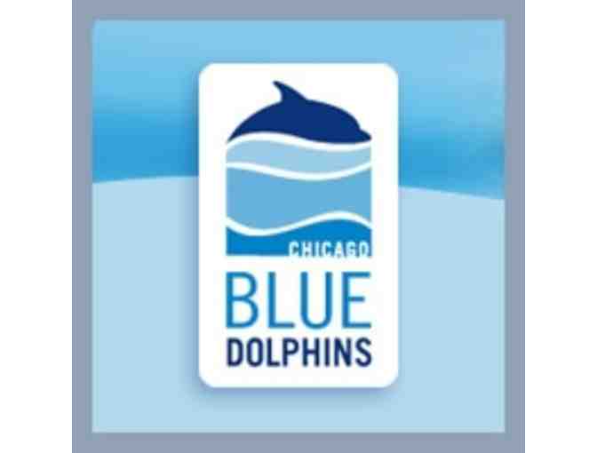 Learn to Swim with the Chicago Blue Dolphins