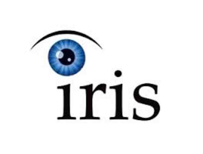 Learn to Speed Read with Iris Reading!