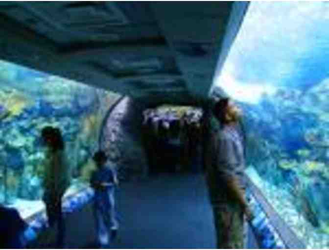 Aquarium of the Pacific - 2 Tickets