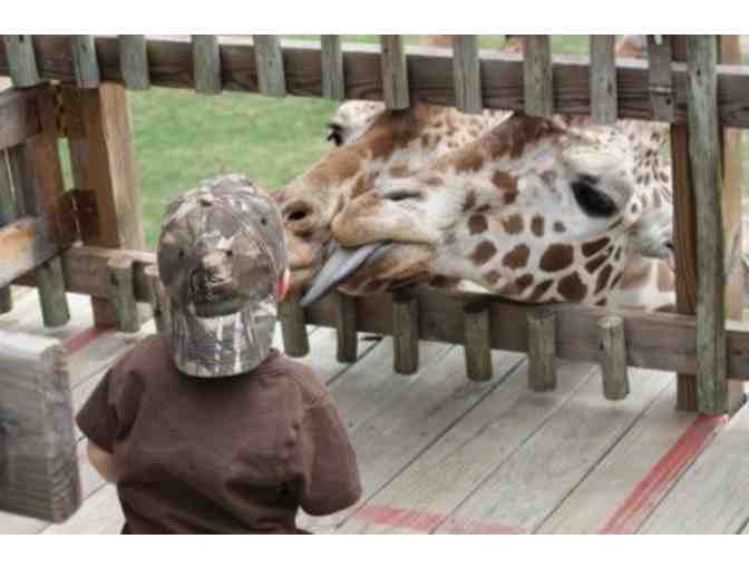 Frank Buck Zoo, Gainesville - (6) Children's Passes