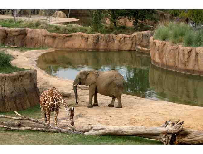 Dallas Zoo - (2) Adult and (2) Youth Tickets