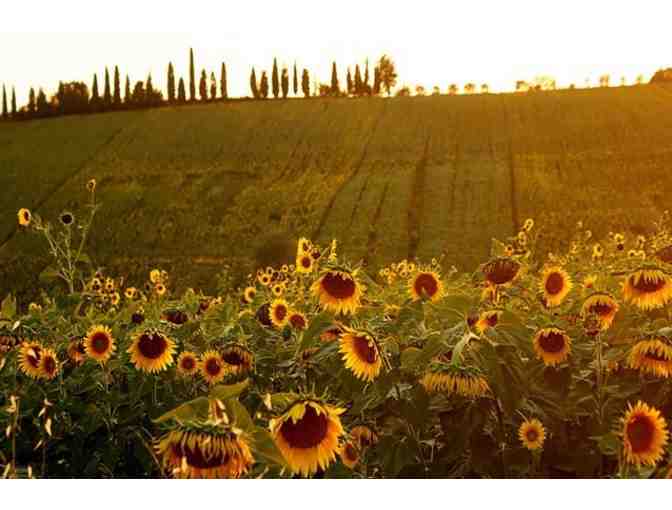 Tuscany - Enjoy a Luxury Getaway in the Heart of Tuscany for (4)