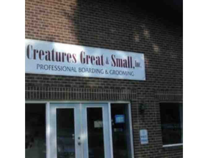 Creatures Great and Small - Grooming Gift Certificate - Photo 1