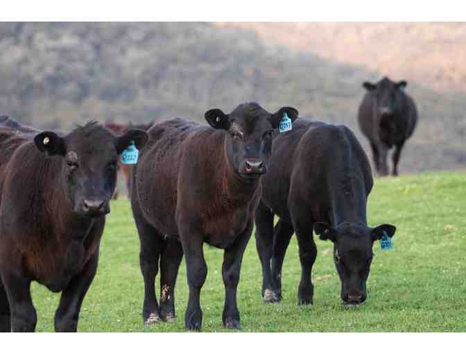 1/4 Portion Certified Angus Beef