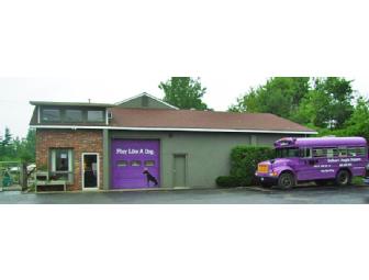 $50 Gulliver's Doggie Daycare Gift Certificate